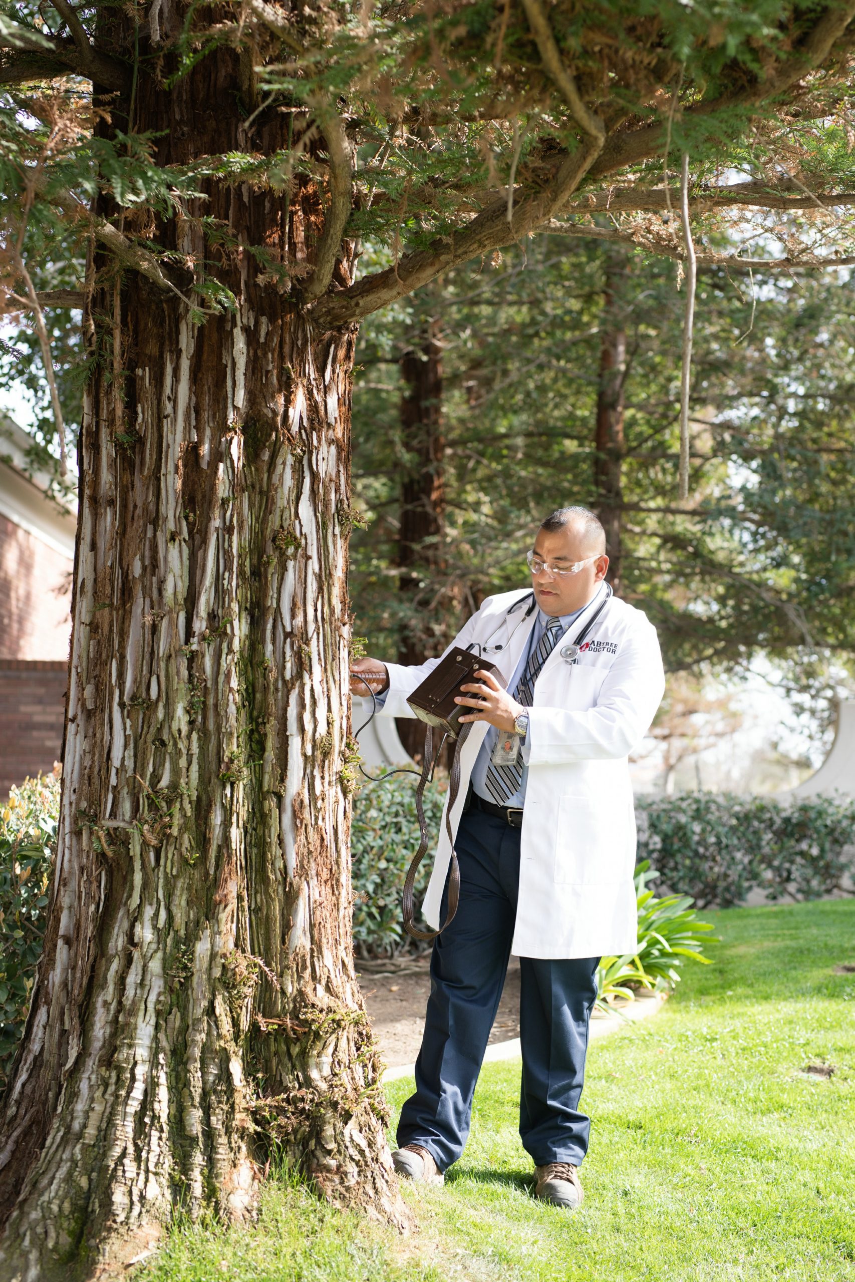 AB Tree Doctor/ AB Pest Control