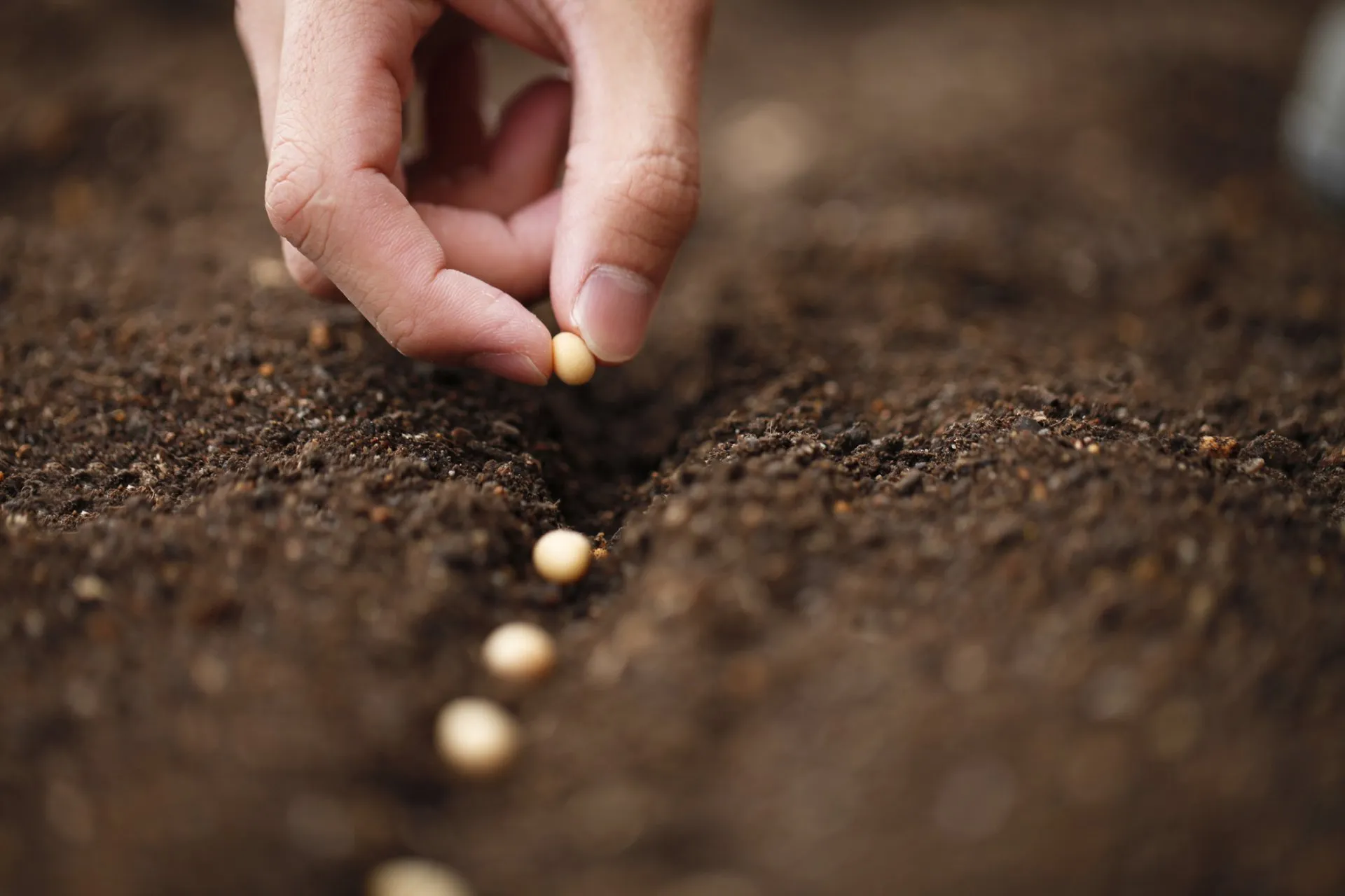 ThinkstockPhotos-482367571-1920w.jpg