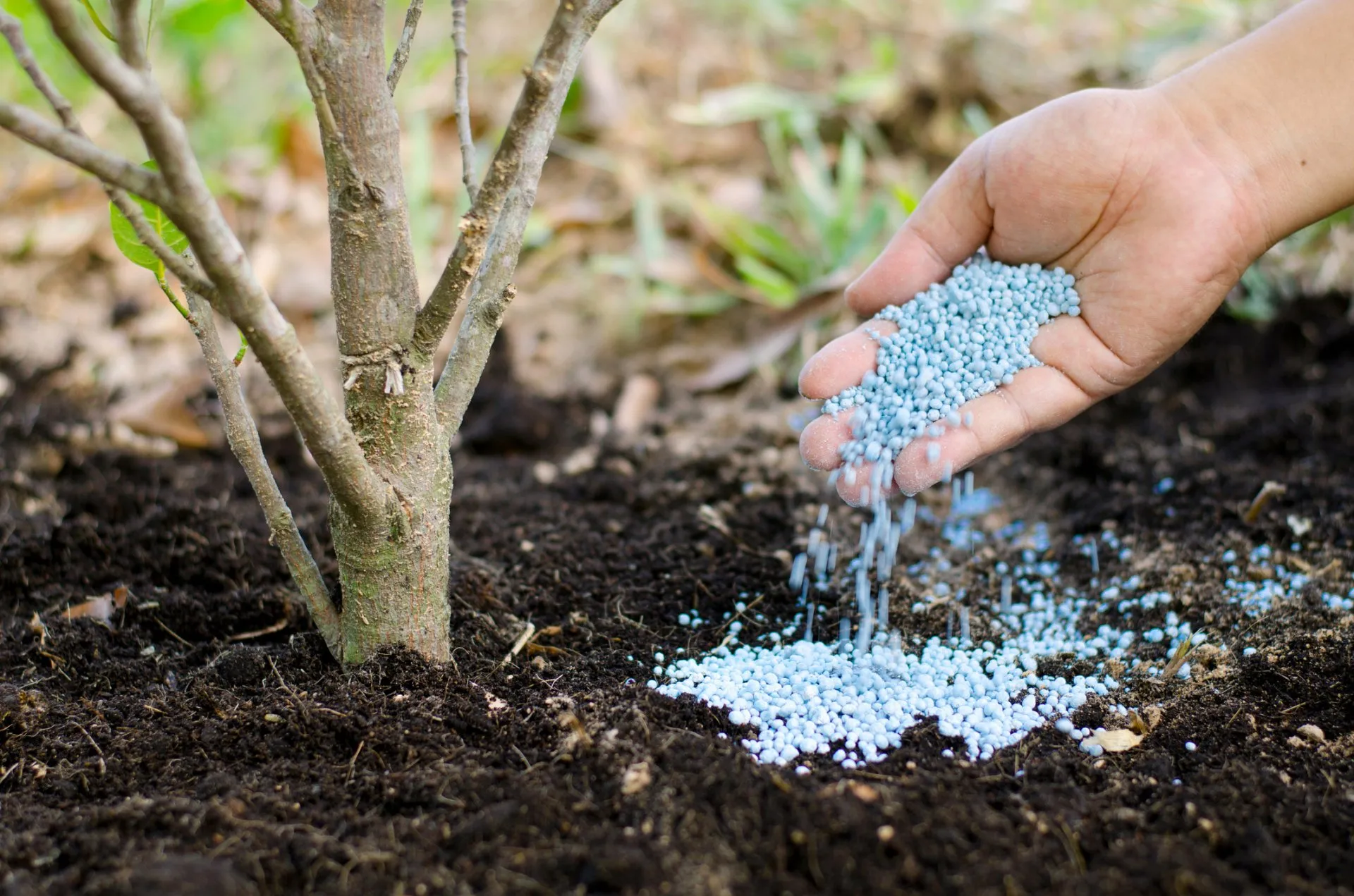 ThinkstockPhotos-671712984-1920w.jpg