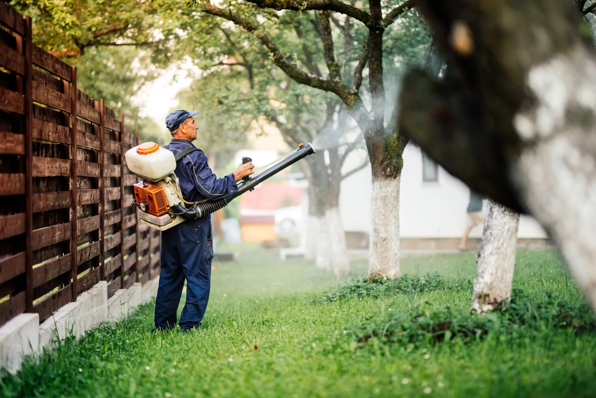 ThinkstockPhotos-870884986-1920w.jpg